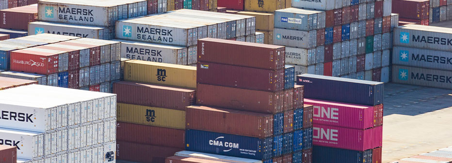 How does Fast Sea Freight To Canada work?